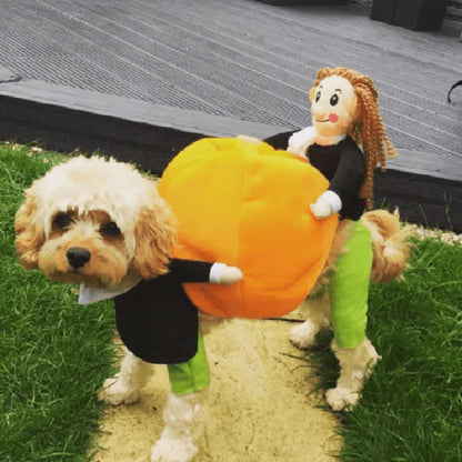 🎃Dog & Cat Pumpkin Halloween Costume