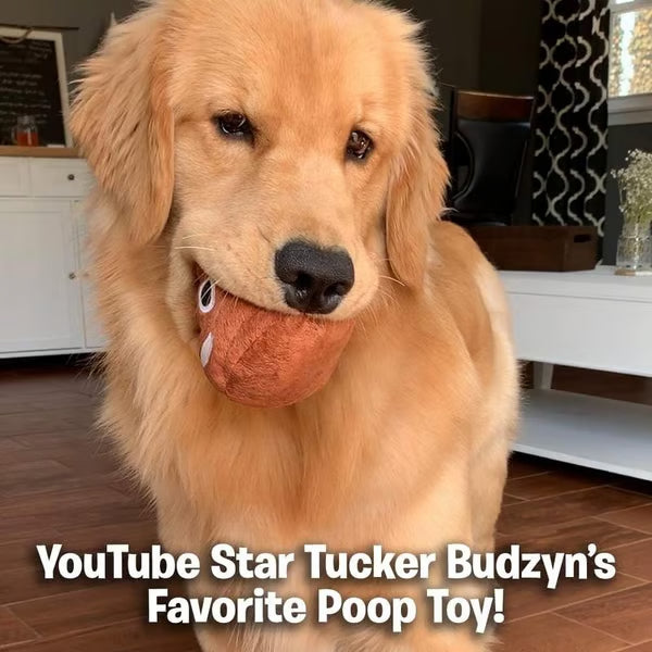 🎁Lowest price ever💥Funny Talking Poop Plush Toy – Makes Fart Sounds!