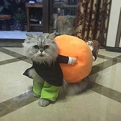 🎃Dog & Cat Pumpkin Halloween Costume