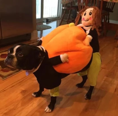 🎃Dog & Cat Pumpkin Halloween Costume