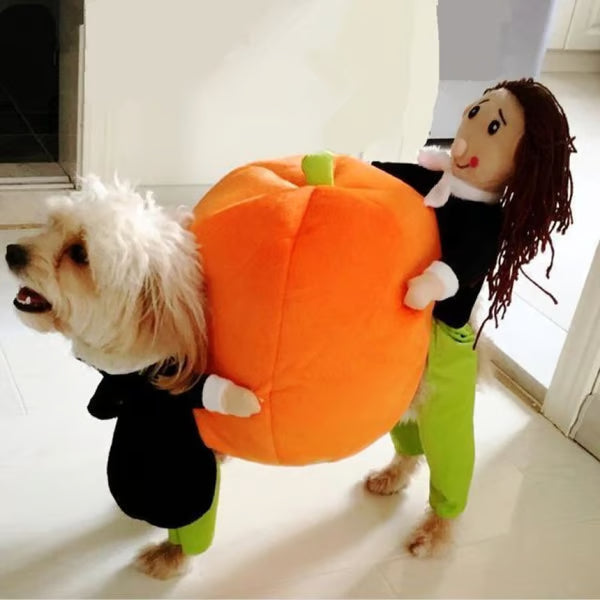 🎃Dog & Cat Pumpkin Halloween Costume