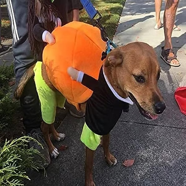 🎃Dog & Cat Pumpkin Halloween Costume