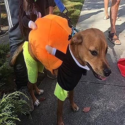 🎃Dog & Cat Pumpkin Halloween Costume